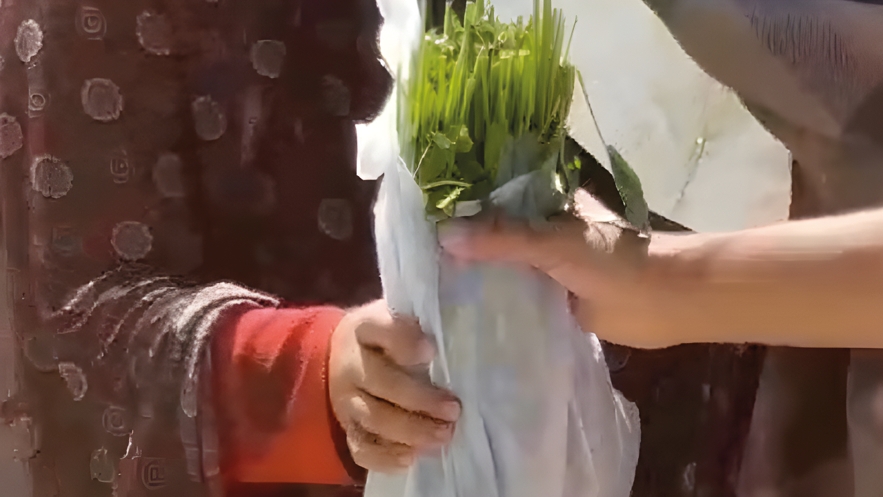 Freiwillige geben Molokhia (Spinatblätter) an bedürftige Familien in Gaza-City aus.